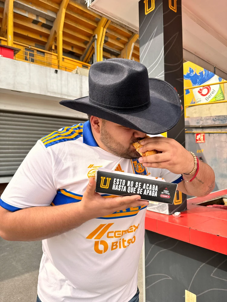 Vehículo Tigre de Fuego · Tigres