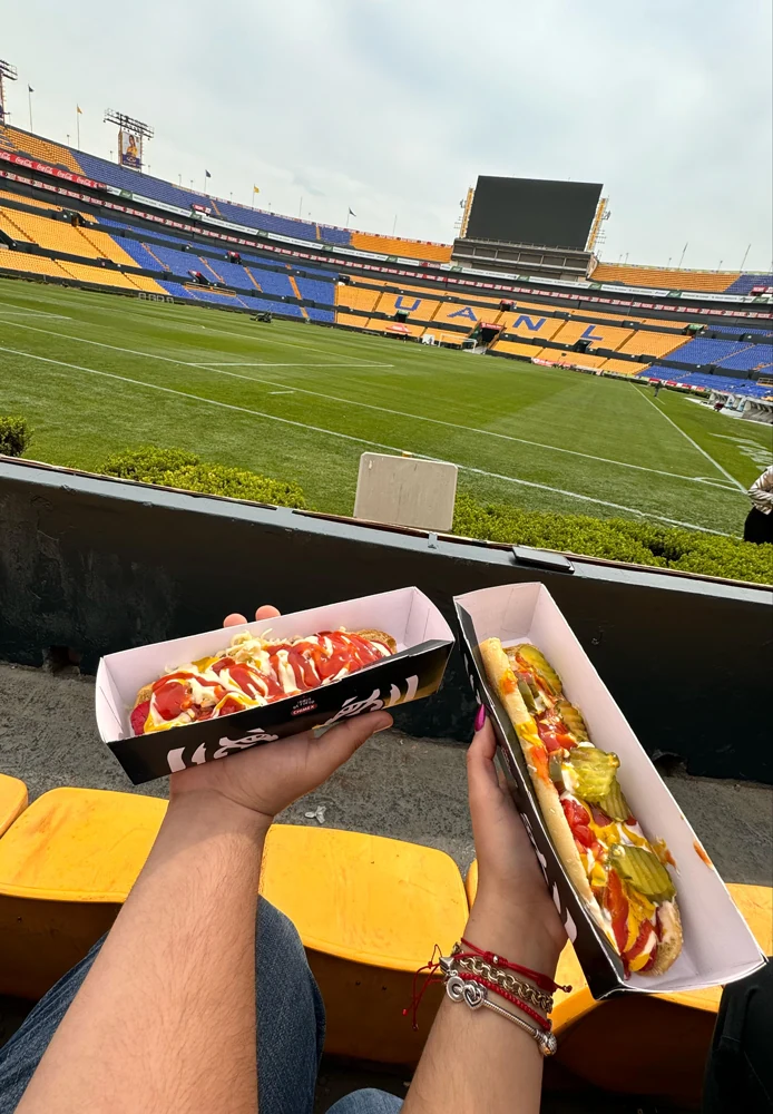 Vehículo Tigre de Fuego · Tigres