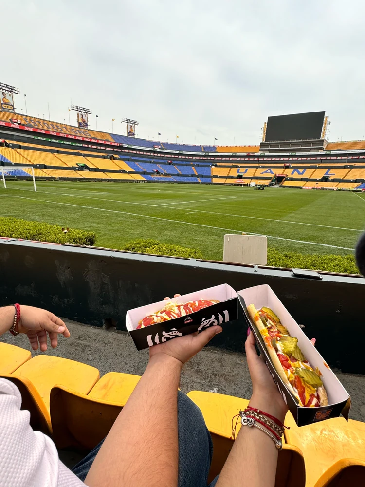Vehículo Tigre de Fuego · Tigres